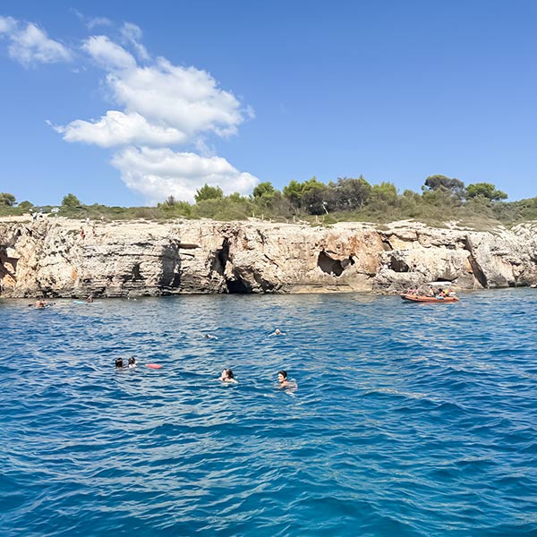 My Homestead Retreat - Istria Private Tours