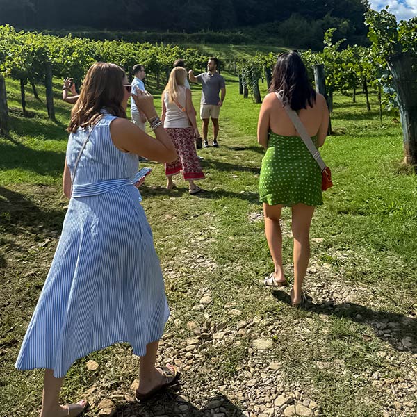 My Homestead Retreat - Istria Private Tours